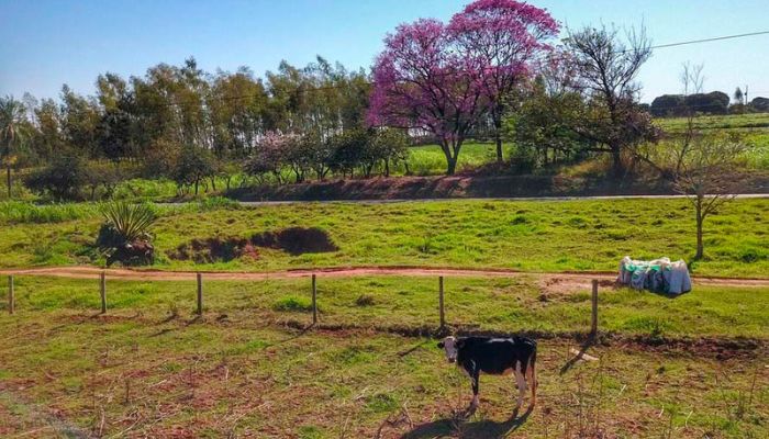 IAT cria guia para ajudar proprietários a adequarem áreas de reserva legal